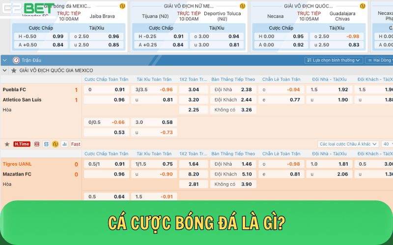 Cá độ bóng đá là gì?