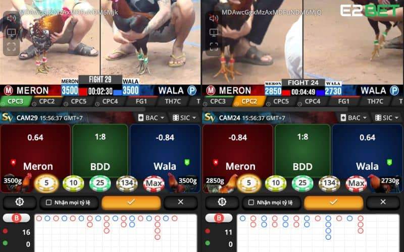 Những ưu điểm khi tham gia đá gà trực tuyến tại E2BET