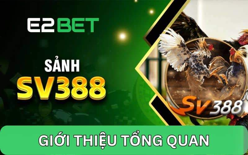 Đôi nét về sảnh cược đá gà SV388 tại nhà cái E2BET Đôi nét về sảnh cược đá gà SV388 tại nhà cái E2BET